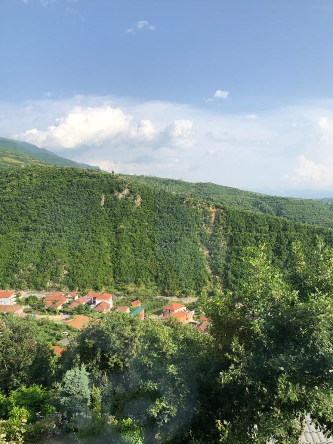 Bujtina Vrenezi Hotell Peshkopi Eksteriør bilde